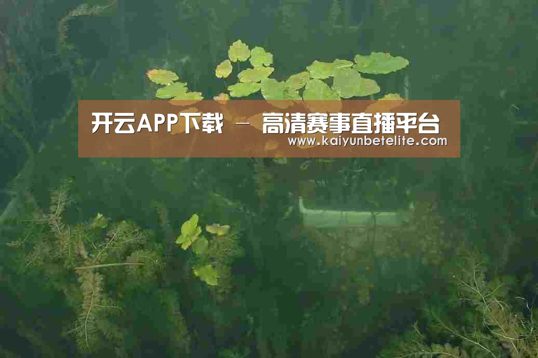 案例展示三(图1)