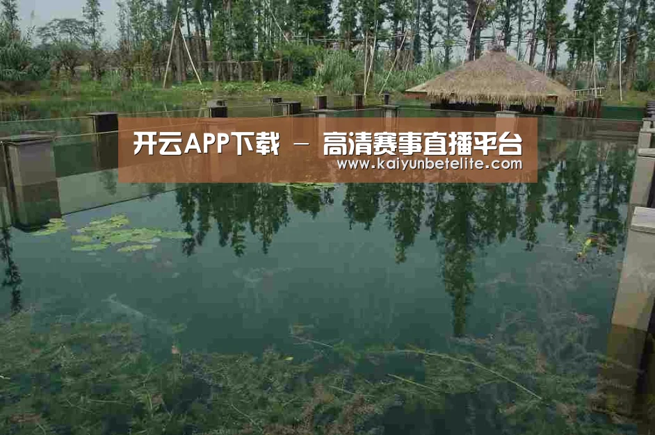 案例展示二