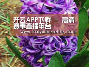 产品名称八
