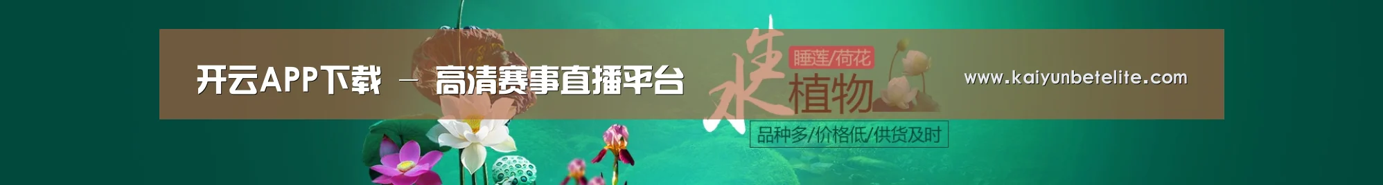 鲜花水草花卉网站模板