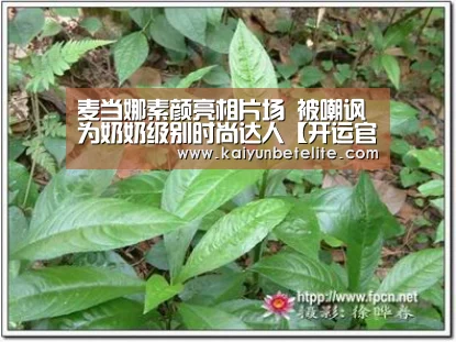 麦当娜素颜亮相片场 被嘲讽为奶奶级别时尚达人【开运官网】(图3) 开运官网