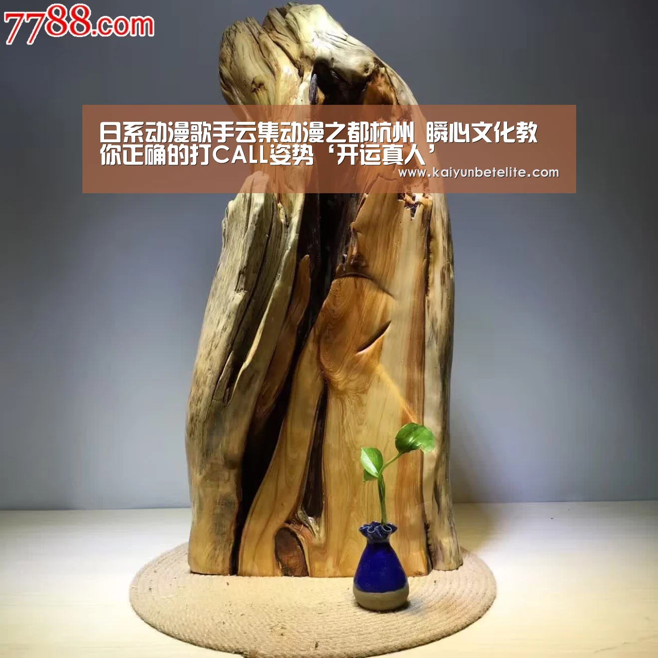 开运真人