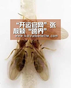 “开运官网”张靓颖“跨界” 电竞,携手炫石互娱带来游戏新“声”态(图2) 开运官网