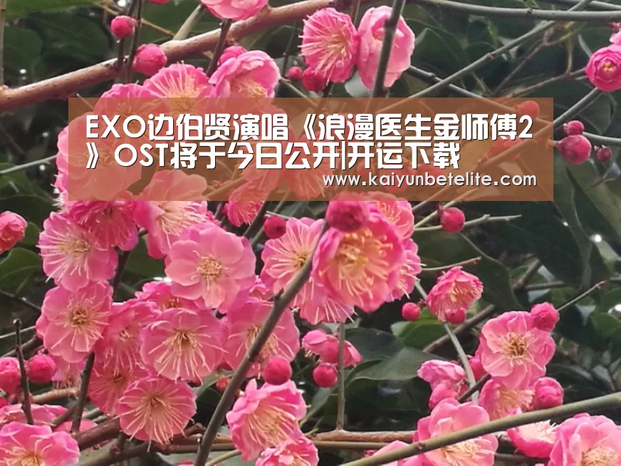 EXO边伯贤演唱《浪漫医生金师傅2》OST将于今日公开|开运下载(图2) 开运下载
