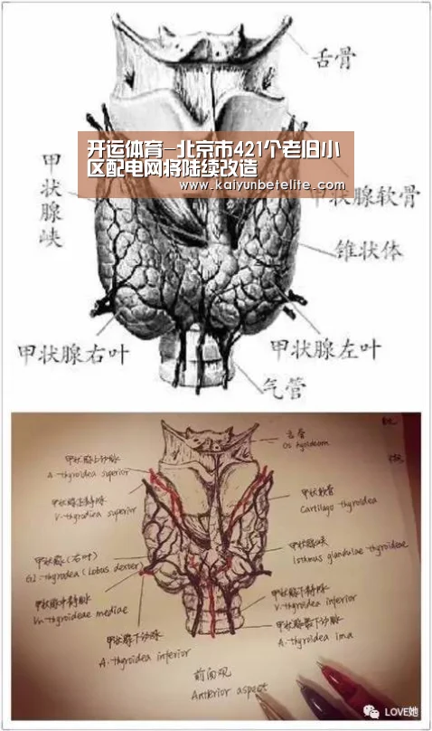 开运下载