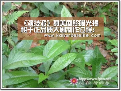 开运下载