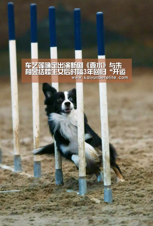 车艺莲确定出演新剧《香水》与朱相昱结婚生女后时隔3年回归“开运体育”(图3) 开运体育