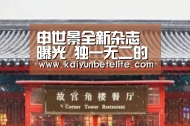 申世景全新杂志曝光 独一无二的美丽光环_开运真人(图3) 开运体育